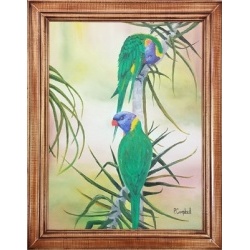 252pc_lorikeets