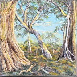 256ga-0006 sunkissed