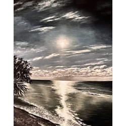 256ga-0007 moonlightdance